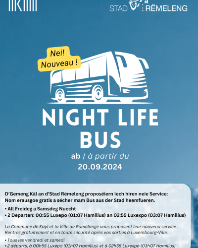 Flyer Night Life Bus 1